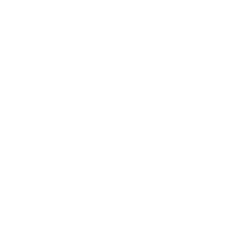 12 News, This link will open in a new window