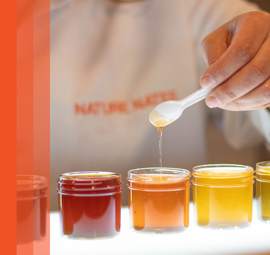 Lab worker testing honey types.
