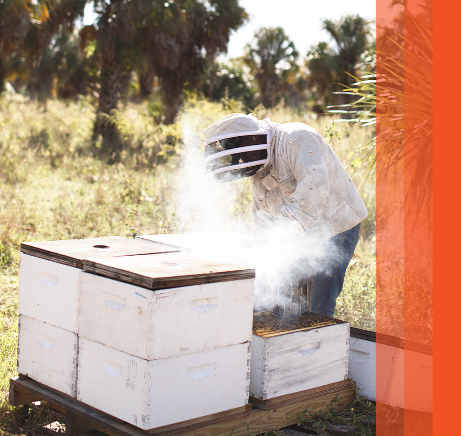 Beekeeper working on hive box.