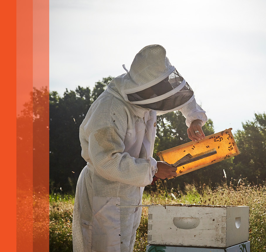 A beekeeper in a protective suit holding a hive.