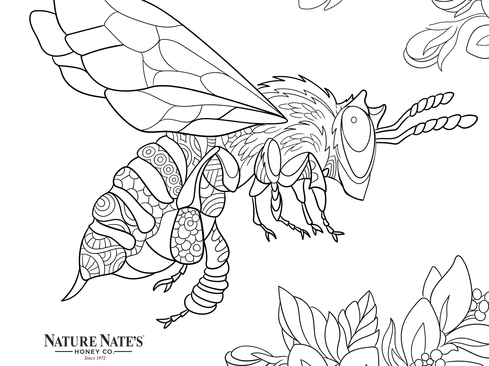 bee coloring page