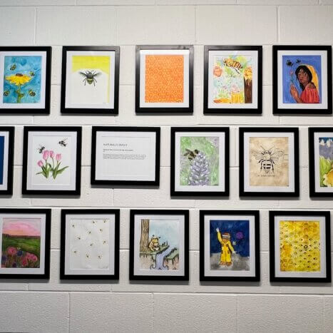 Sweet Harvest Foods and Nature Nate’s Honey Co. Provide Art Grant and Host Student Art Contest for Cannon ...