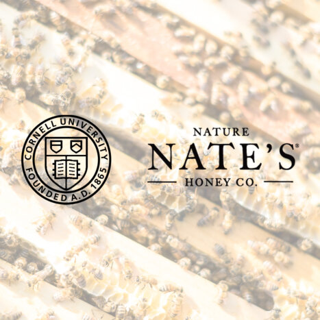 Nature Nate’s Honey Co. Continues Its Investment in Bee Health and Research at Cornell University for Sixth Consecutive ...