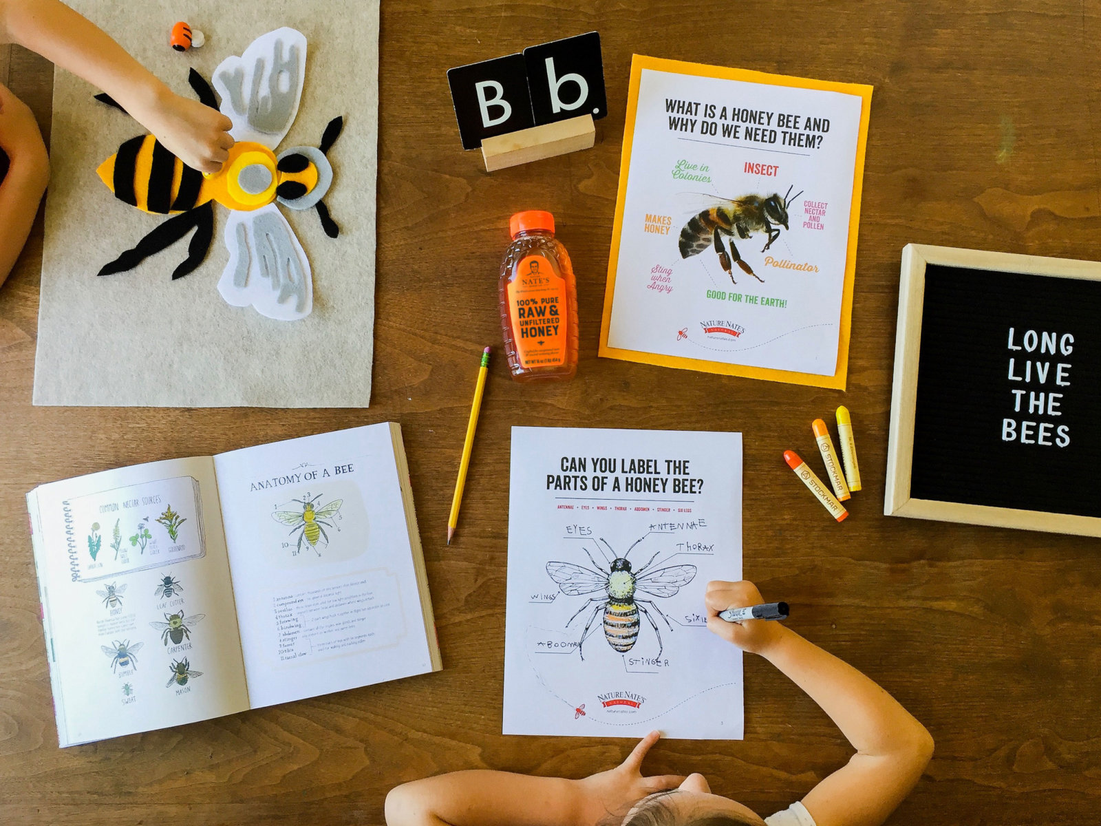 A hands-on learning activity about bees with educational sheets, a bee craft and a bottle of Nate’s honey.