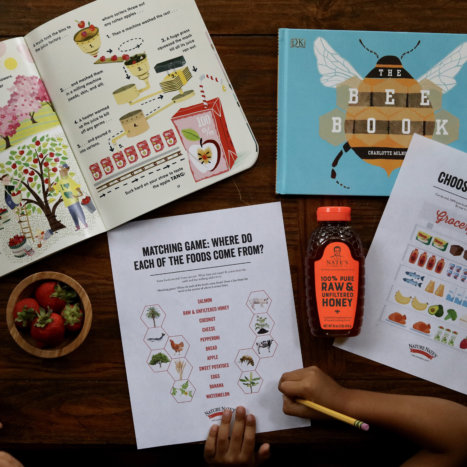 For Teachers! Free Lesson Plan “Make Good Food Choices”