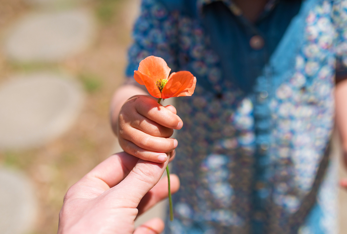 Hand giving an orange flower to someone.