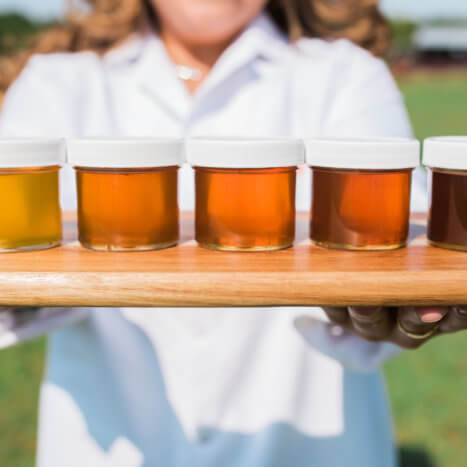 Why Do Honeys Have Different Tastes?