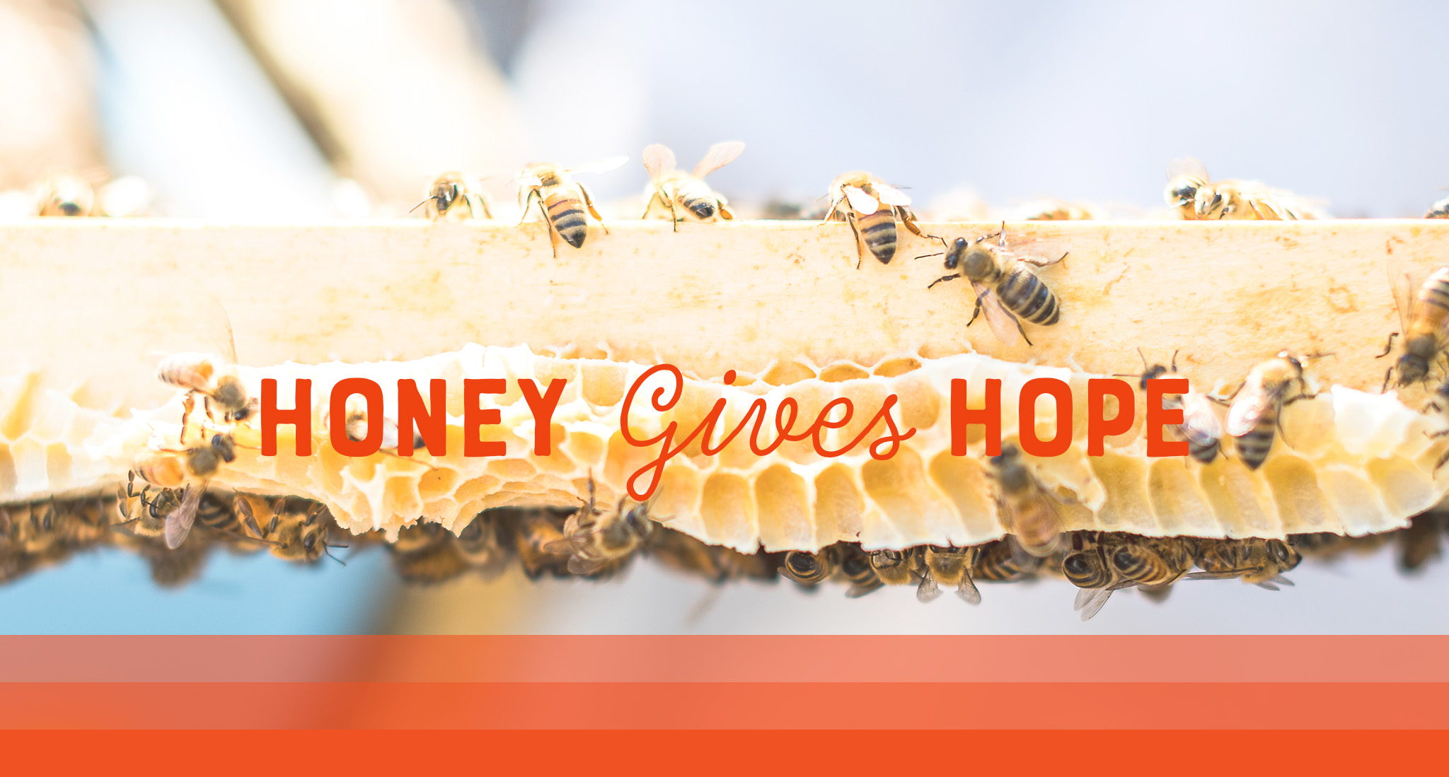 Bees on a honeycomb with HONEY GIVES HOPE, text overlay.