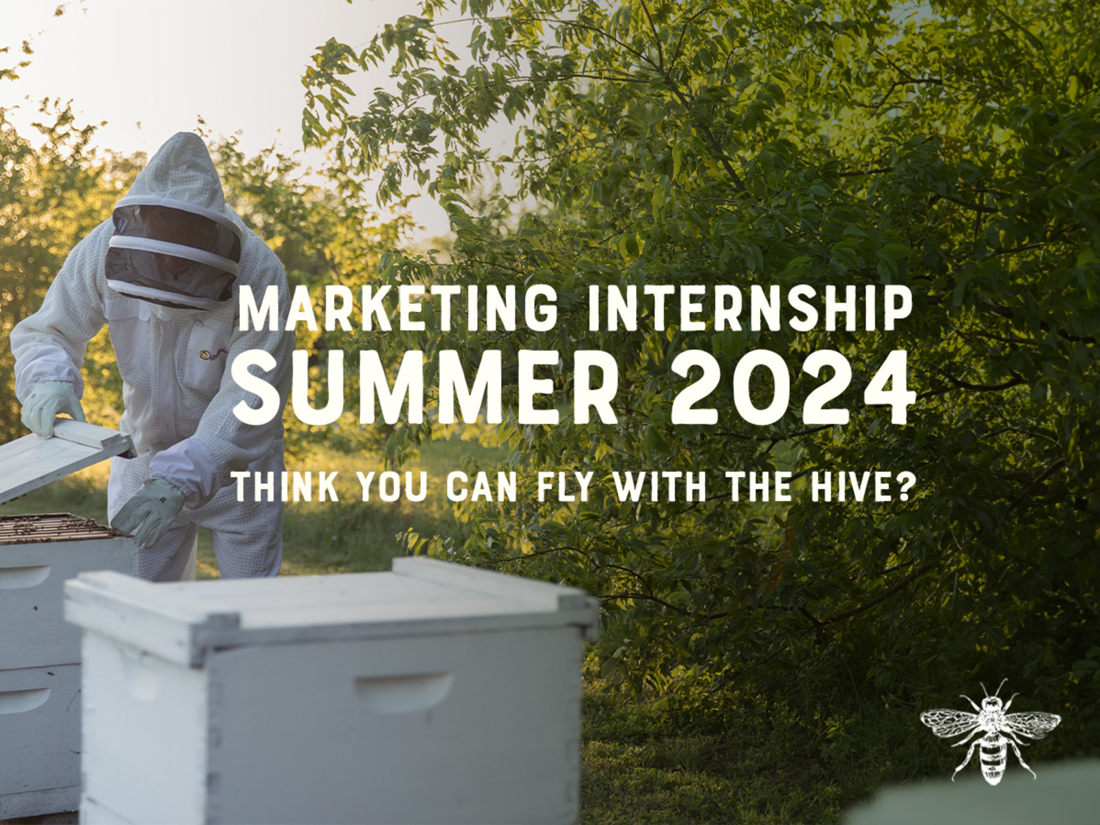 Beekeeper tending to hives with text Marketing Internship Summer 2024: Think you can fly with the hive? and a bee illustration.