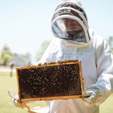 The Nate’s Difference