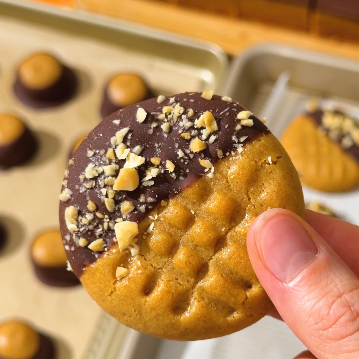 Hand holding chocolate-dipped peanut butter cookies.