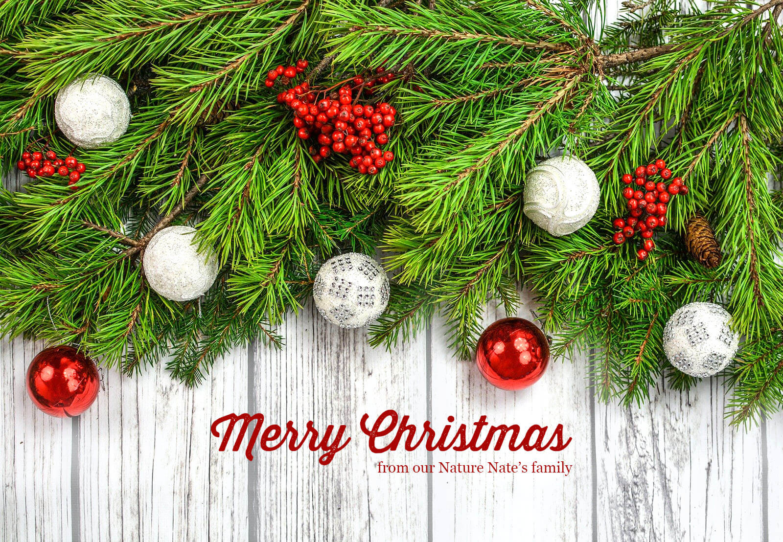 Festive Christmas greeting with pine branches, red berries and ornaments on a rustic white wood background.