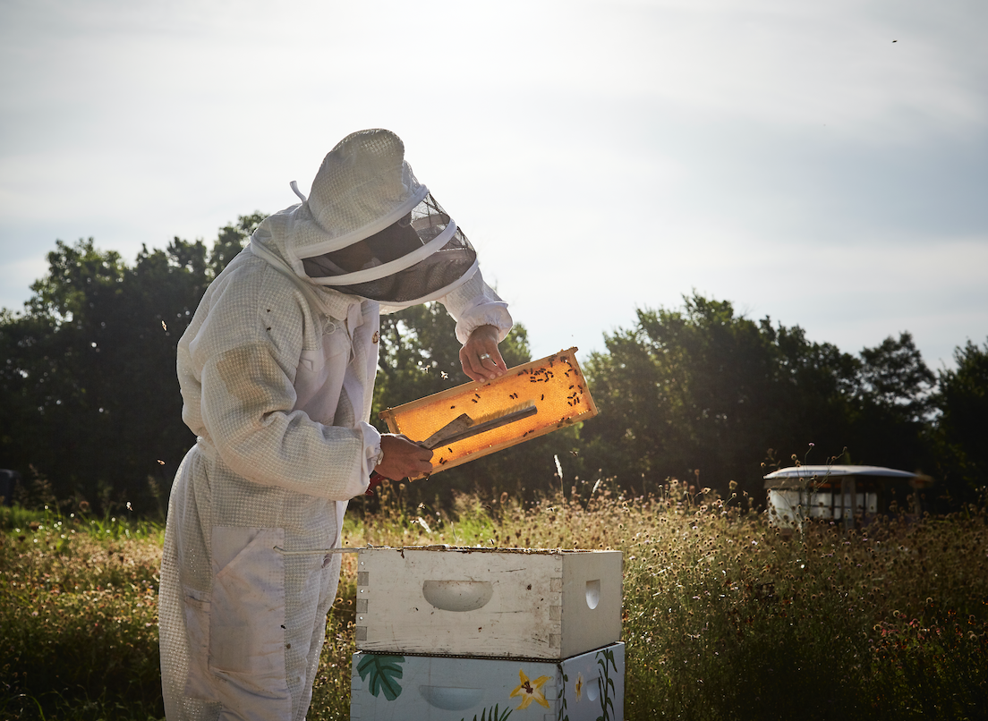 Beekeeper inspecting a frame outdoors near beehives.