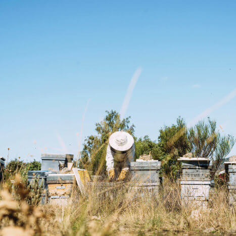 NATURE NATE’S HONEY CO. TO SPONSOR HONEY SYMPOSIUM HOSTED BY THE HONEY AND POLLINATION CENTER AT UC DAVIS